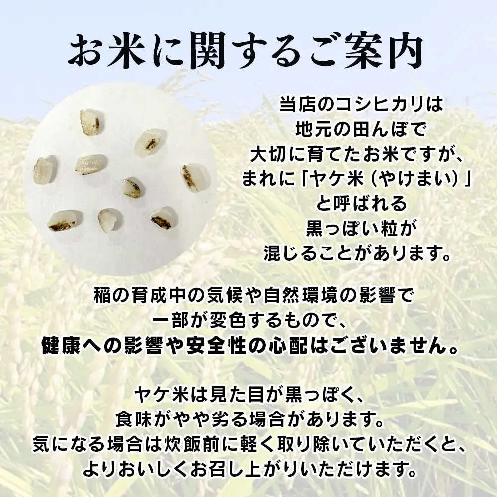 【2026年先行予約】棚田米 こしひかり 白米 5kg 令和8年産| コシヒカリ