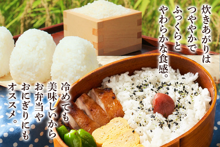 《令和7年産》《定期便10ヶ月》 米 あきたこまち 10kg（5kg×2袋） 【白米】 秋田県産