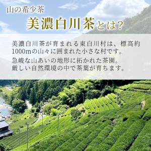 ティーバッグ みたらしちゃん 6袋 お茶 茶 日本茶 緑茶 煎茶 岐阜県 東白川村 美濃白川茶 白川茶 お取り寄せ ふるさと メッセージ付き ギフト 贈り物 贈答 お試し ティータイム 猫パッケージ メッセージ