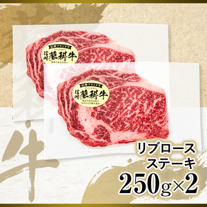 蓼科牛 リブロースステーキ250g×2