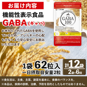 No.1286-B ＜定期便・全6回(隔月)＞GABA100(1袋 62粒入・2袋×6回 計12袋) 鹿児島 日置市 健康食品 機能性表示食品 サプリ 栄養バランス 食生活 安心安全 デスクワーク ストレス緩和 高血圧 定期便 頒布会【てまひま堂】