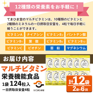 No.1279-B ＜定期便・全6回(隔月)＞マルチビタミン(2袋×6回・計12袋) 鹿児島 日置市 健康食品 サプリ 栄養バランス 食生活 安心安全 野菜不足 好き嫌い 豊富な栄養素 マルチビタミン ミネラル 亜鉛 マグネシウム 【てまひま堂】