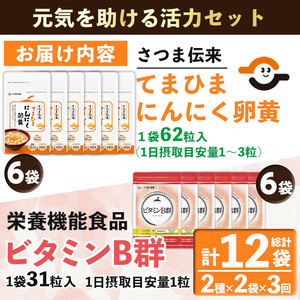No.1298-A ＜定期便・全3回(隔月)＞活力セット(てまひま にんにく卵黄・ビタミンB群/各2袋×3回 計12袋) 鹿児島 日置市 ニンニク 健康食品 加工食品 栄養 元気 有精卵 カプセル 手軽に 安全安心【てまひま堂】