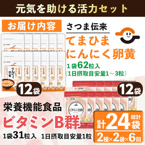 No.1298-B ＜定期便・全6回(隔月)＞活力セット(てまひま にんにく卵黄・ビタミンB群/各2袋×6回 計24袋) 鹿児島 日置市 ニンニク 健康食品 加工食品 栄養 元気 有精卵 カプセル 手軽に 安全安心【てまひま堂】