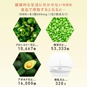 0090-105-01 NMN サプリメント 20000mg 日本製 国内製造 GABA ボタンボウフウ 5-ALA 核酸 ビタミンE ビタミンC クエン酸 鉄 Na 葉酸 daina NMN+ 90粒 30日 3本