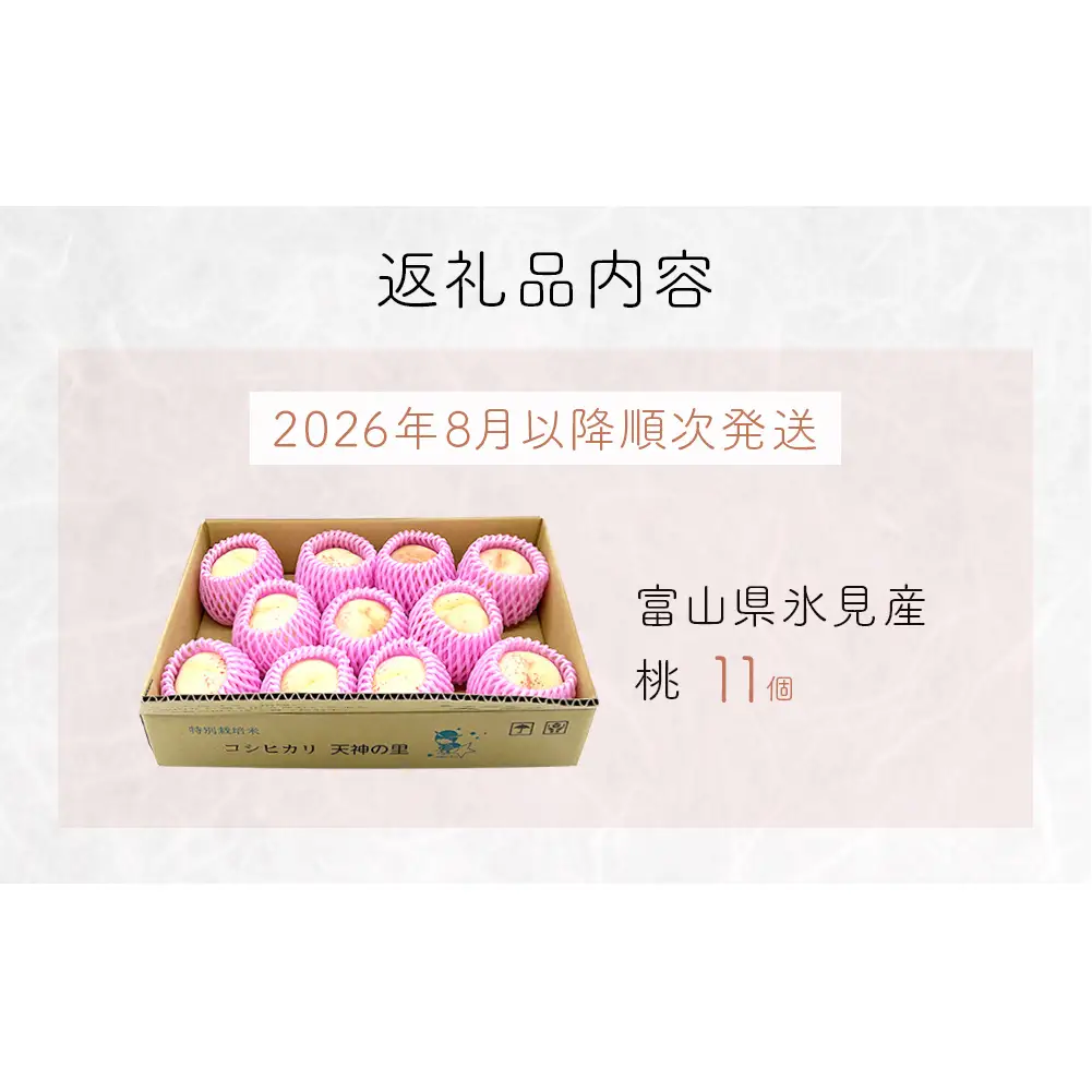 【先行受付】 富山県産 桃 11個 ＜2026年8月以降順次発送＞ ｜ 桃 先行予約