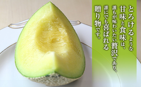 クラウンメロン 2玉入り 約2.4kg 白等級 化粧箱入り 果物 フルーツ メロン メロンの王様 最高級 贈答品 プレゼント お取り寄せ 浜松市 静岡