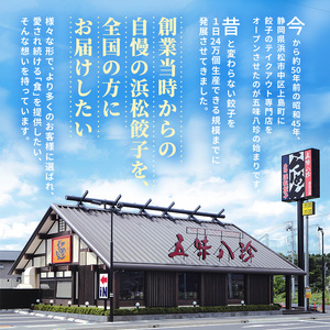 定期便 3回 浜松餃子 もちぶた餃子 56個 五味八珍 餃子 国産 冷凍 浜松