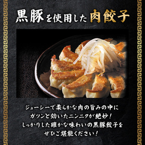 定期便 3回 浜松餃子 黒豚餃子 56個 五味八珍 餃子 国産 冷凍 浜松