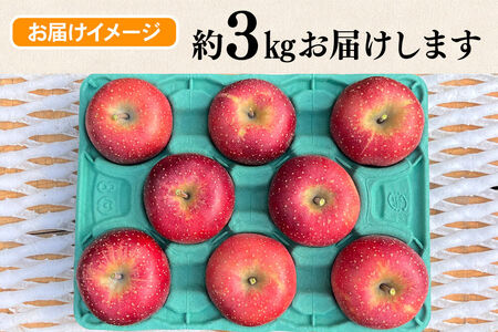 【26年10月下旬～発送】りんご 千雪 約3kg カワムラファーム【贈答用】青森 果物 フルーツ 林檎 リンゴ くだもの