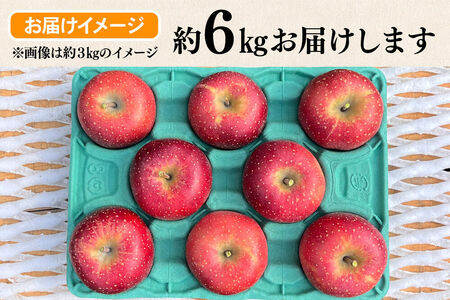 【26年10月下旬～発送】りんご 千雪 約6kg カワムラファーム【贈答用】青森 果物 フルーツ 林檎 リンゴ くだもの