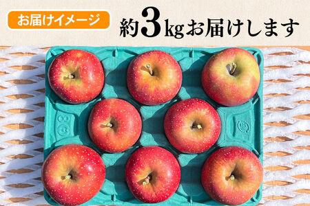 【26年10月下旬～発送】りんご 千雪 約3kg カワムラファーム【家庭用】青森 果物 フルーツ 林檎 リンゴ くだもの