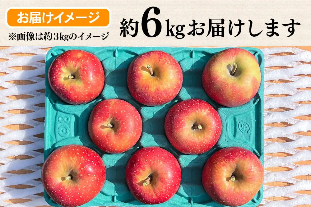 【26年10月下旬～発送】りんご 千雪 約6kg カワムラファーム【家庭用】青森 果物 フルーツ 林檎 リンゴ くだもの