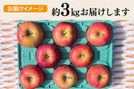 【26年10月下旬～発送】りんご 千雪 約3kg カワムラファーム【訳あり】青森 果物 フルーツ 林檎 リンゴ くだもの