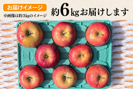 【26年10月下旬～発送】りんご 千雪 約6kg カワムラファーム【訳あり】青森 果物 フルーツ 林檎 リンゴ くだもの