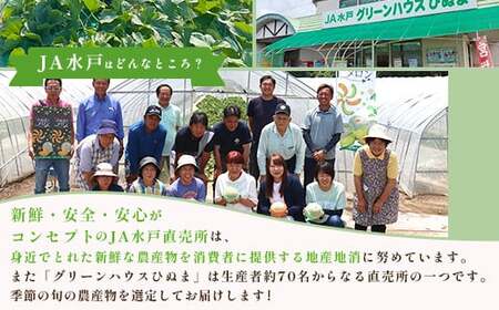 661 茨城県産いちご「とちおとめ」520g（2パック）【2026年1月中旬頃～3月下旬頃発送予定】