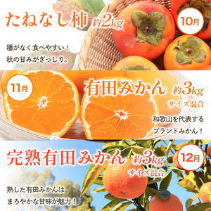 フルーツ 定期便 フルーツ 12回 果物 和歌山【ard-tkb901A】