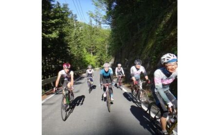 レンタルサイクル 2名様1日利用サービス券 体験チケット HNNC005