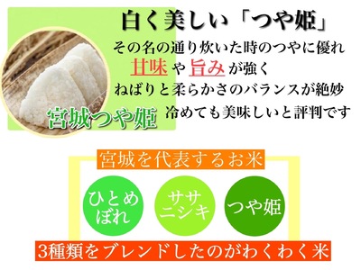 【ふるさと納税】宮城県産三大銘柄いいとこ取りブレンド米 わくわく米 5kg×2袋入 計10kg◆｜ お米 精米 白米 ひとめぼれ ササニシキ つや姫 宮城県産 三大銘柄【araseki003】