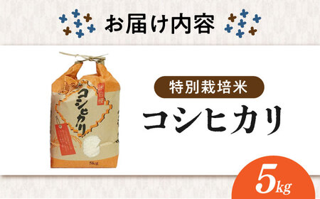 【特別栽培米】コシヒカリ 5kg [AQCQ012] 米 白米