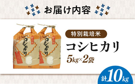 【特別栽培米】コシヒカリ 10kg[AQCQ013] 米 白米