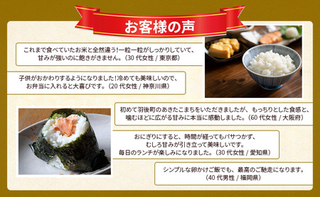 ［令和7年産］秋田県産 あきたこまち 20kg (5kg×4袋) 羽後町産 [藤原商店]【 米 お米 白米 精米 あきたこまち アキタコマチ 美味しい 秋田 羽後 】