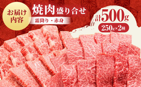 【2度の農林水産大臣賞】 佐賀牛 焼肉 盛り合わせ 500g（霜降り・赤身 各250g）【田中畜産牛肉店】 黒毛和牛 バーベキュー BBQ[HBH160]