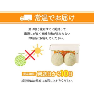 【2026年夏発送】北海道 富良野 メロン 3Lサイズ 2玉 計約4kg フルーツ 果物