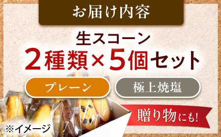 【卵不使用！】生スコーン プレーン・極上焼塩 2種10個セット[QBZ002]