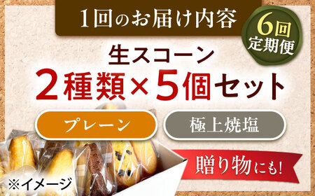 【全6回定期便】【卵不使用！】生スコーン プレーン・極上焼塩 2種10個セット[QBZ007]