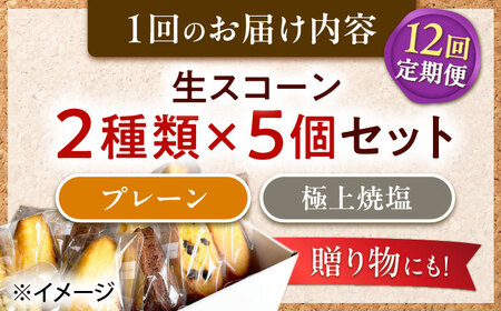 【全12回定期便】【卵不使用！】生スコーン プレーン・極上焼塩 2種10個セット[QBZ008]