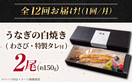 【12回定期便】国産 上うなぎ 白焼き 2尾 約150g×2パック / 鰻 ウナギ うなぎ 白焼き / 御嵩町 / 鰻 季節料理 魚邦[AVBH029]