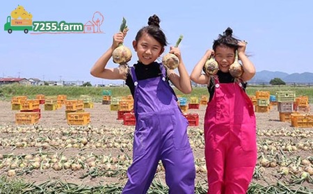 【先行予約！】あわじ島完熟たまねぎ 3kg　◆配送６月～12月下旬