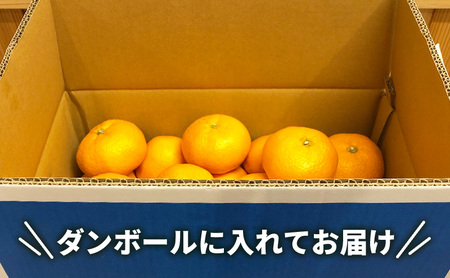 みかん 河津町旬のみかんセット ミカン セット 旬の果物 フルーツ 果実 ニューサマーオレンジ 甘夏 不知火 早生ミカン はるみ ポンカン 河津町 静岡県