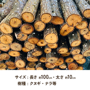 すぐ生える しいたけ 栽培用 原木 ホダ木 2本 セット 椎茸栽培 しいたけ栽培キット しいたけ栽培セット 栽培 栽培キット 栽培セット 淡路島 洲本市　お届け：11月上旬～2月末まで