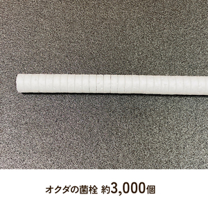 初心者用 しいたけ 栽培キット お手軽植菌棒+錐+発砲栓 椎茸 シイタケ きのこ しいたけ栽培 椎茸栽培 椎茸栽培キット しいたけ栽培セット きのこ栽培 きのこ栽培キット 栽培 体験 淡路島 洲本市