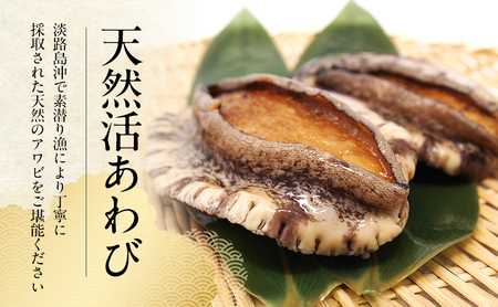天然 活あわび 380g (2～4個) 活鮑 黒あわび 赤あわび あわび 鮑 貝 貝類 海鮮セット 刺身 お刺身 BBQ バーベキュー 海鮮 冷蔵 淡路島 洲本市