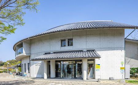 ウェルネスパーク五色 浜千鳥 ペア宿泊券 1泊2食付 宿泊券 ペア ペアチケット チケット 兵庫県 洲本市 淡路島