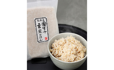 災害備蓄食品 低温熟成 玄米ごはん 4種 75食 セット 詰め合わせ 天然由来の原材料のみ使用 保存料不使用 着色料不使用 酵素玄米 発酵玄米 ご飯 レトルトご飯 防災食 災害食 防災備蓄食品 保存食 淡路島 洲本市