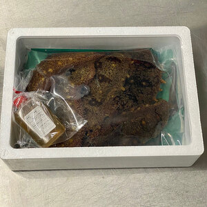 活 赤なまこ 2～6個 800g セット 詰め合わせ 淡路島産 最高級 ナマコ なまこ 生食用 生食 魚介 魚介類 海鮮 海鮮セット 冷蔵 淡路島 洲本市　お届け：1月初旬～3月末
