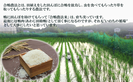 あわじ田助 鴨鍋セット 白米 詰め合わせ 合鴨農法 米 精米 お米 鴨鍋 玉ねぎ セット 合鴨ロース 鴨 鴨肉 国産 鍋 鍋セット 淡路島 洲本市　お届け：2月～3月