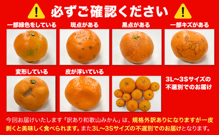 みかん 訳あり 和歌山みかん 約1.5kg 柑橘