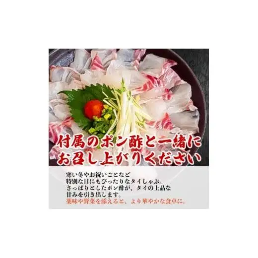 【 鯛 】 鯛しゃぶしゃぶ1パック