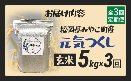 定期便 玄米 米 令和8年産 元気つくし（玄米） 5kg 3回定期便 チャック付き チャック 防虫 ごはん おにぎり おやつ 福岡県 みやこ町産 福岡 九州 グルメ お取り寄せ