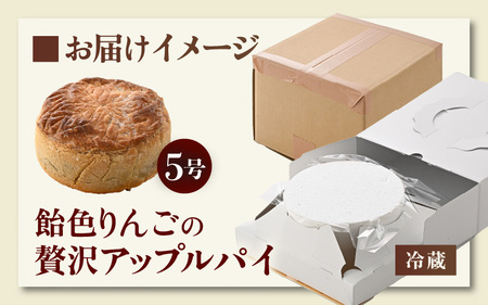 【数量限定】飴色りんごの贅沢アップルパイ 5号ホール：直径15cm (4?5人前) 850g 【アップルパイ りんご ケーキ 焼き菓子 スイーツ デザート 果物 フルーツケーキ 洋菓子 贈答 ギフト】 [A-5210]