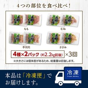 【定期便・3回】産地直送！恵那どり お試し4種8パックセット 小分け 真空パック 大容量 セット 鶏肉 F4N-2468