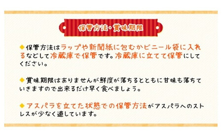 ＜早期予約・数量限定＞北海道ニセコ町 アスパラMサイズ2kg【2026年産】【3200201】