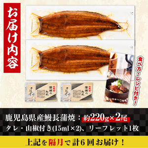 【6回定期便(隔月)】鹿児島県産 うなぎ蒲焼 特大 サイズ 2尾セット ＜（約220g×2・計約440g）×全6回＞  【薩摩川内鰻】 i1173-B