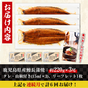【6回定期便(連続月)】鹿児島県産 うなぎ蒲焼 特大 サイズ 3尾セット ＜（約220g×3・計約660g）×全6回＞ 【薩摩川内鰻】 i1175-A