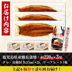 【6回定期便(隔月)】鹿児島県産 うなぎ蒲焼 特大 サイズ 3尾セット ＜（約220g×3・計約660g）×全6回＞  【薩摩川内鰻】 i1175-B